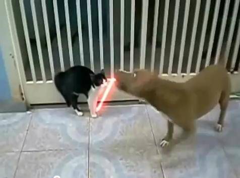 Você já tem um sabre de luz?