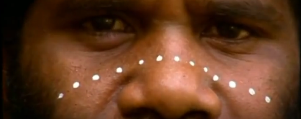 Perigo invisível: água-viva de 2 cm possui um dos venenos mais potentes da natureza