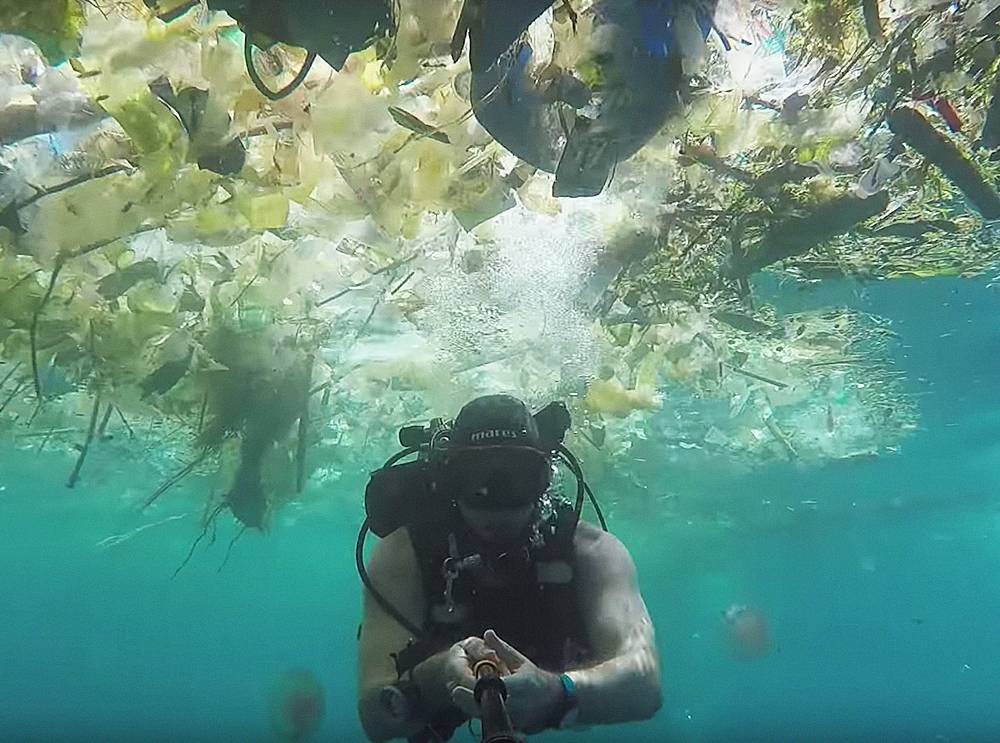Um vídeo para mostrar que devemos parar já de poluir os mares