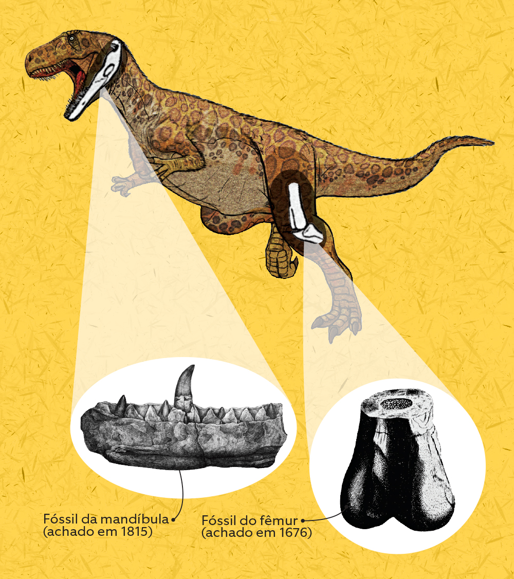 Megalosaurus bucklandii.