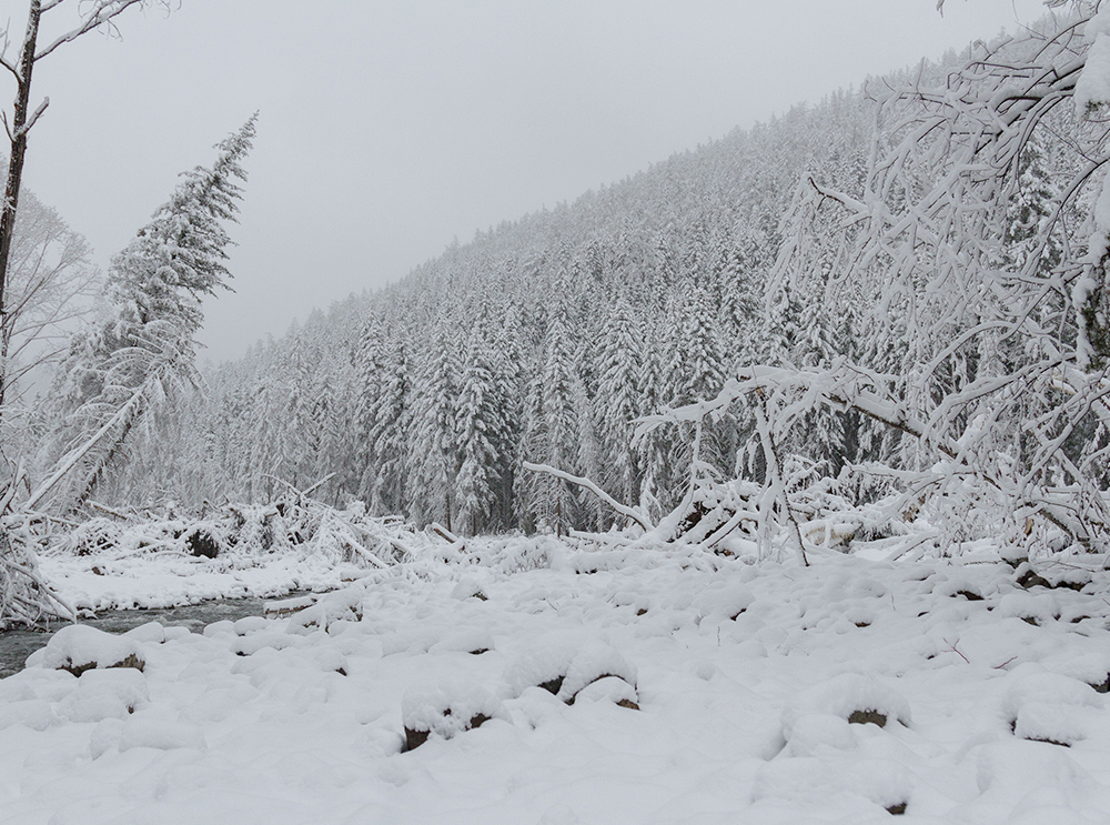 Qual o inverno mais rigoroso do mundo?