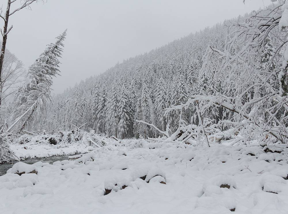 Qual o inverno mais rigoroso do mundo?