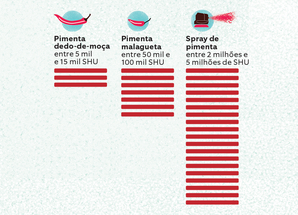 Spray de pimenta 2 Spray de pimenta 2