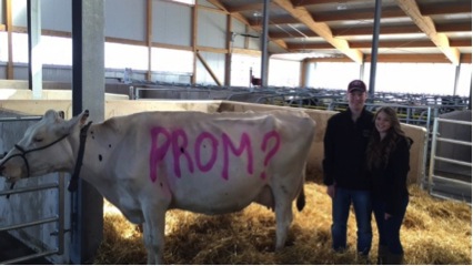 Menina faz convite de formatura pintando uma vaca