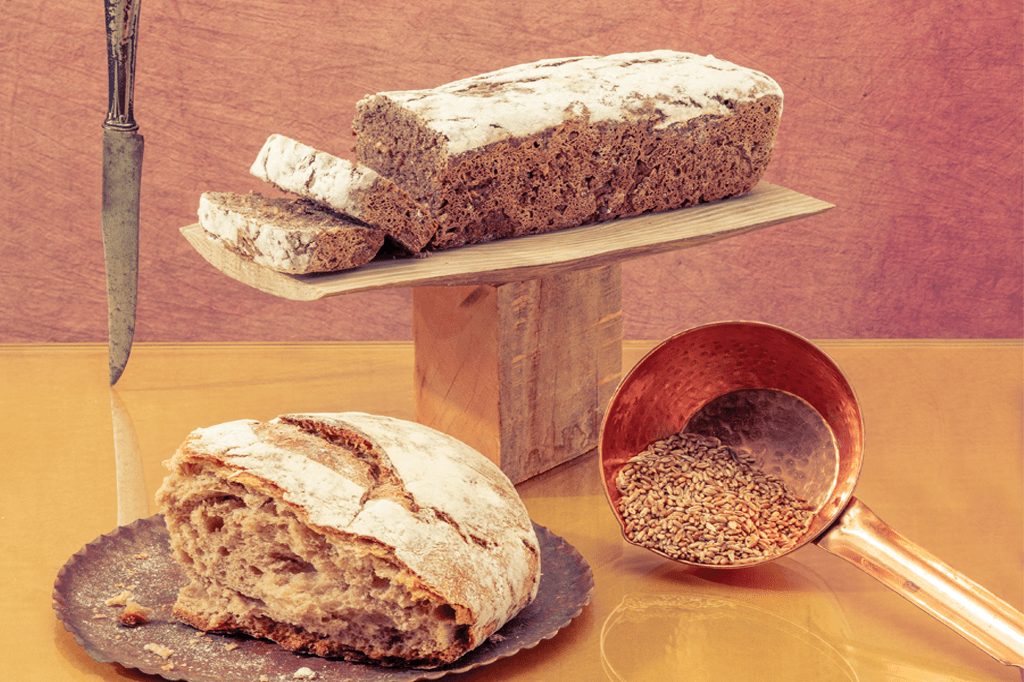 Pão: os primeiros 14 mil anos de história