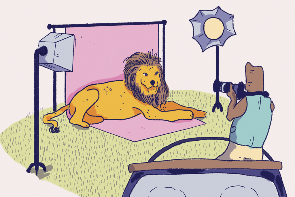 Como são gravados os programas de vida selvagem?