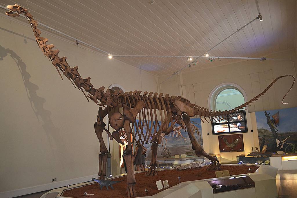 Os 11 maiores dinossauros já encontrados no Brasil