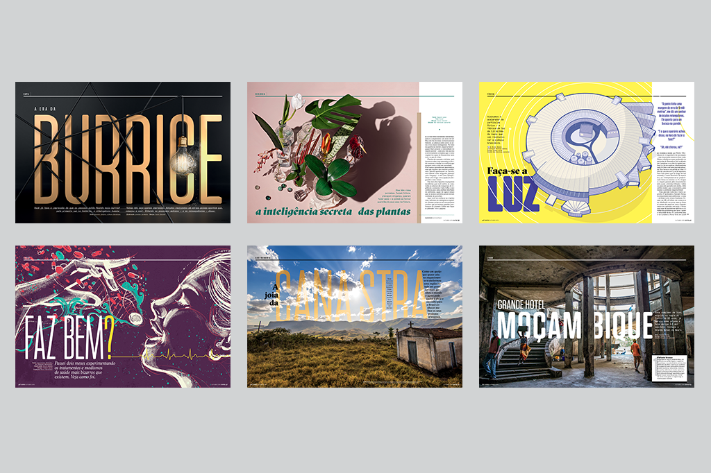 Plantas inteligentes, pessoas burras, o LHC brasileiro: na SUPER digital