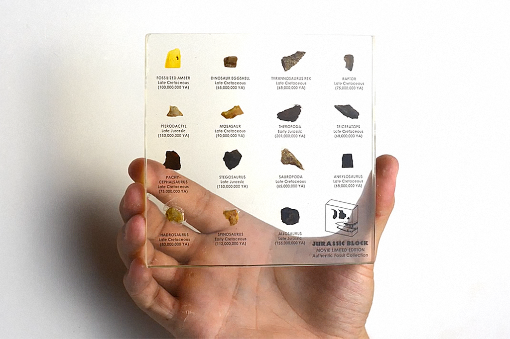 Este projeto vai permitir que você tenha fósseis de dinossauro em casa