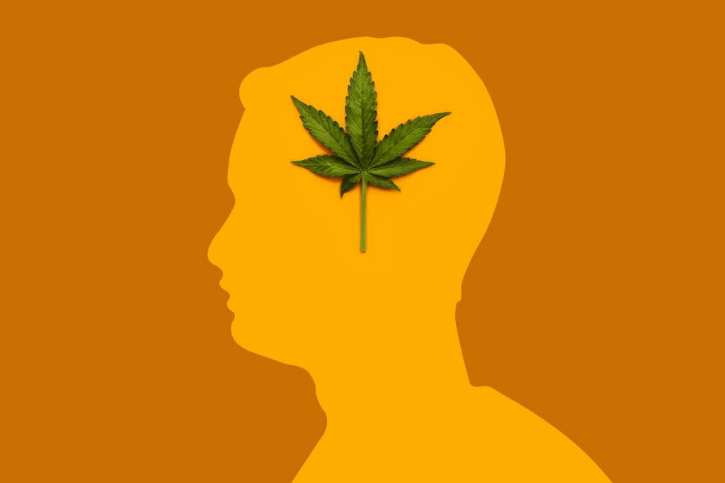 Parar de fumar maconha melhora a memória – em 1 semana