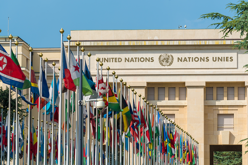 ONU faz 80 anos com legitimidade soterrada nos destroços da Ucrânia e de Gaza