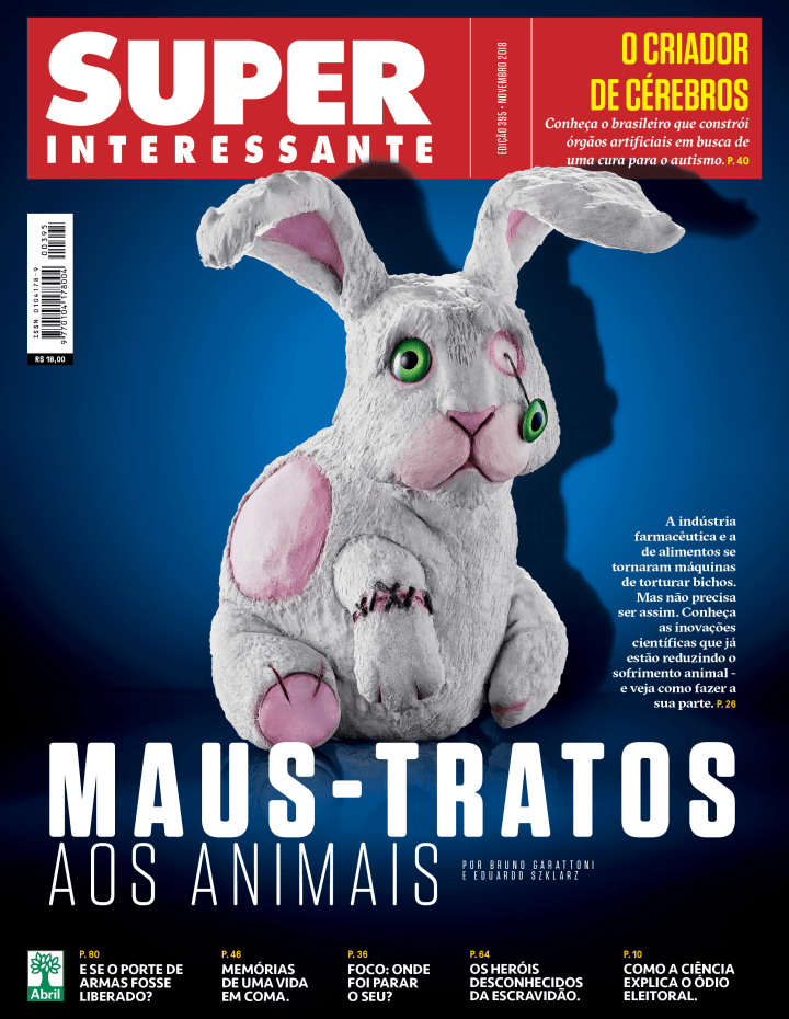 Edição 395 - Novembro de 2018