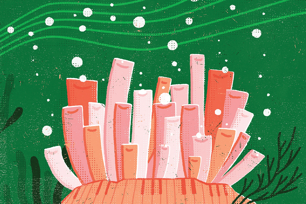 Algas produzem som – e formam orquestra no fundo do mar