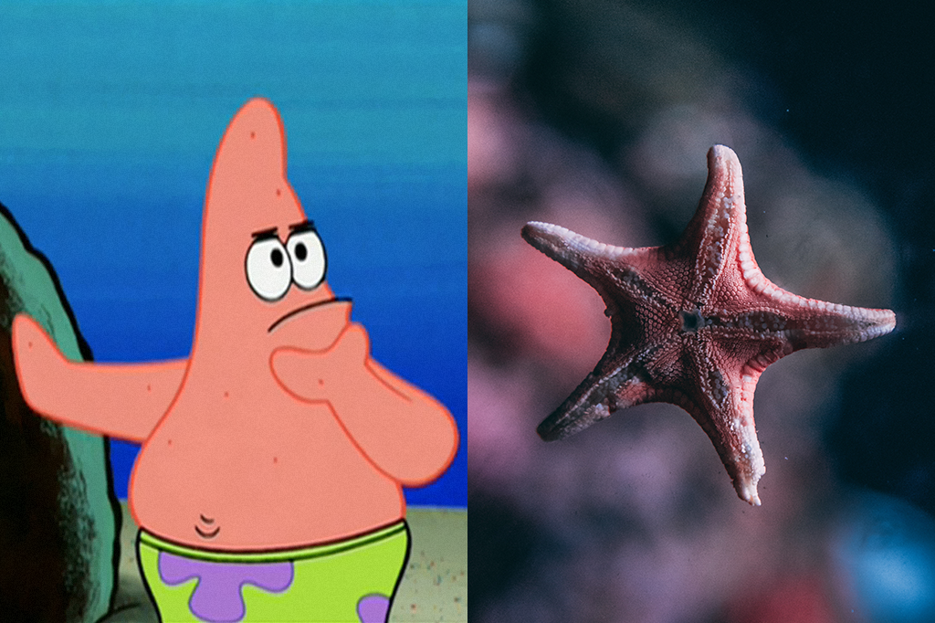 Patrick