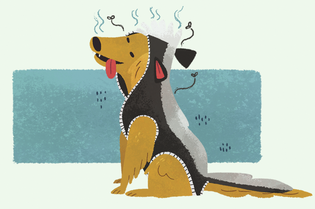 Existe uma raça de cachorro mais fedida do que as outras?