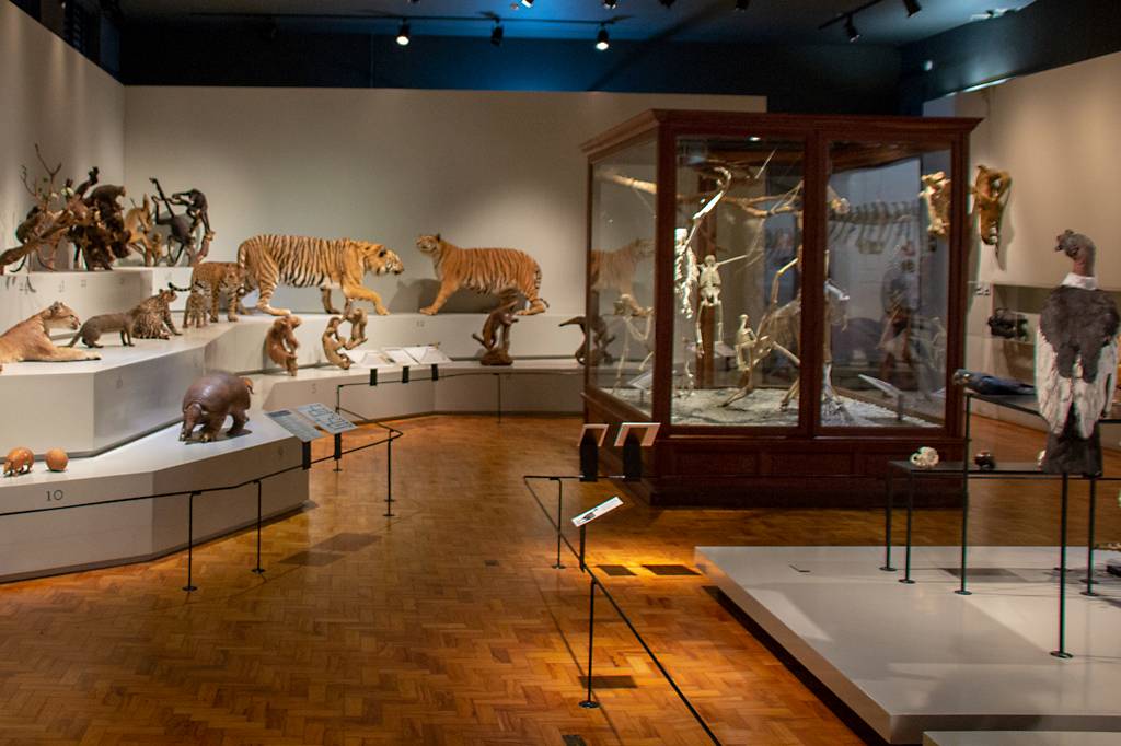 5 museus de ciência brasileiros que você precisa conhecer