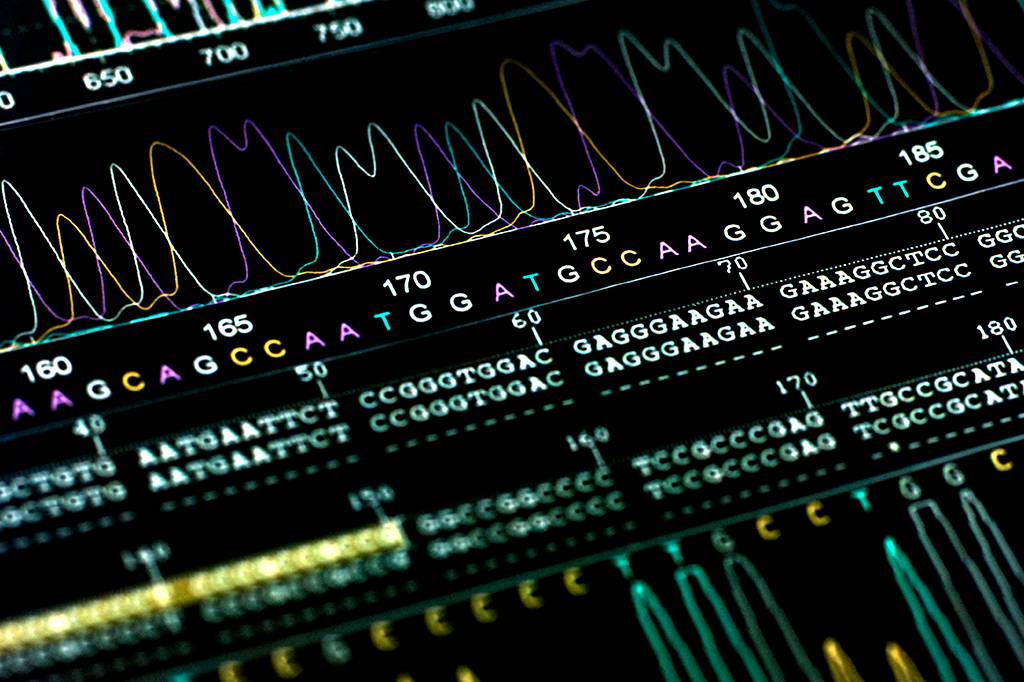 DNA humano contém indícios de hominídeo extinto desconhecido