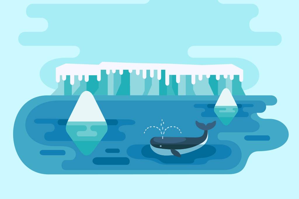 Orcas morrem mais em anos pares. Entenda o motivo