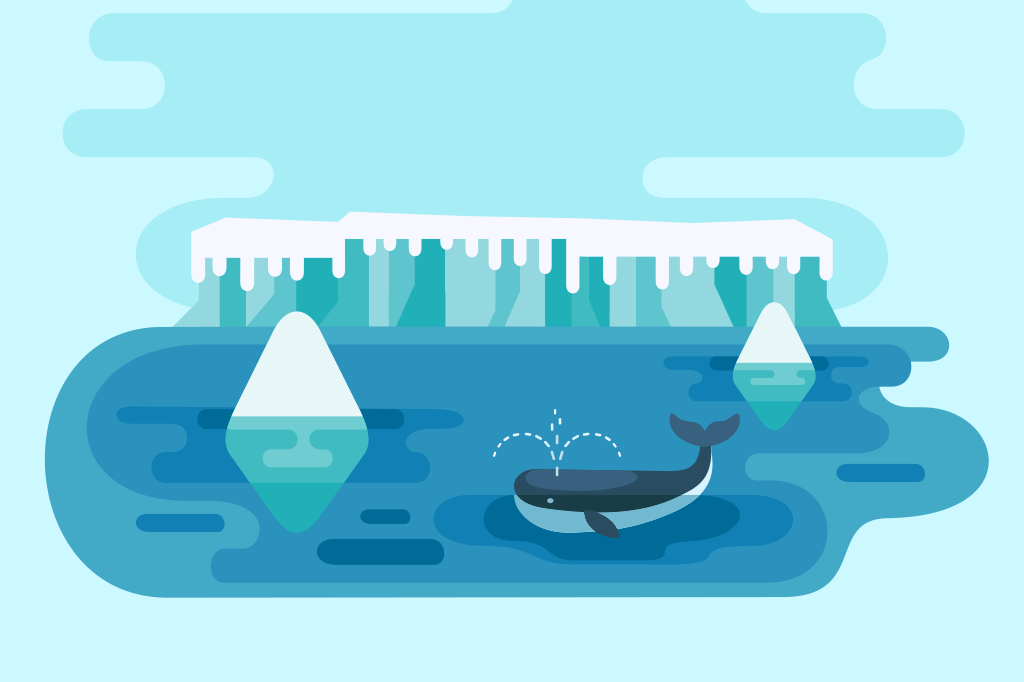 Orcas morrem mais em anos pares. Entenda o motivo