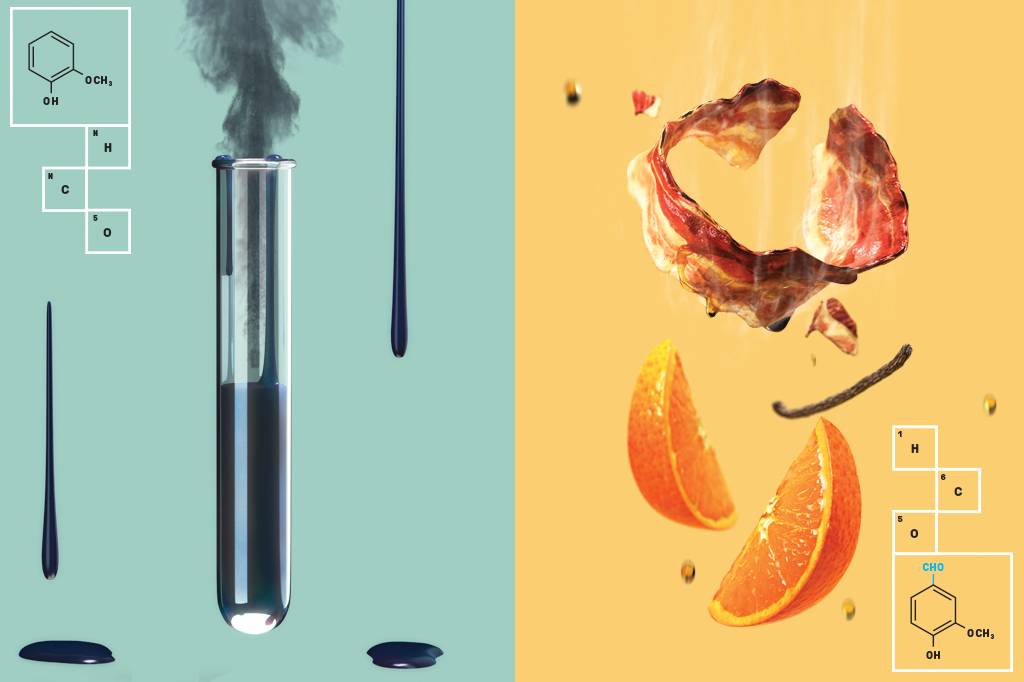 Ciência dos aromas: os segredos por trás do gosto da sua comida