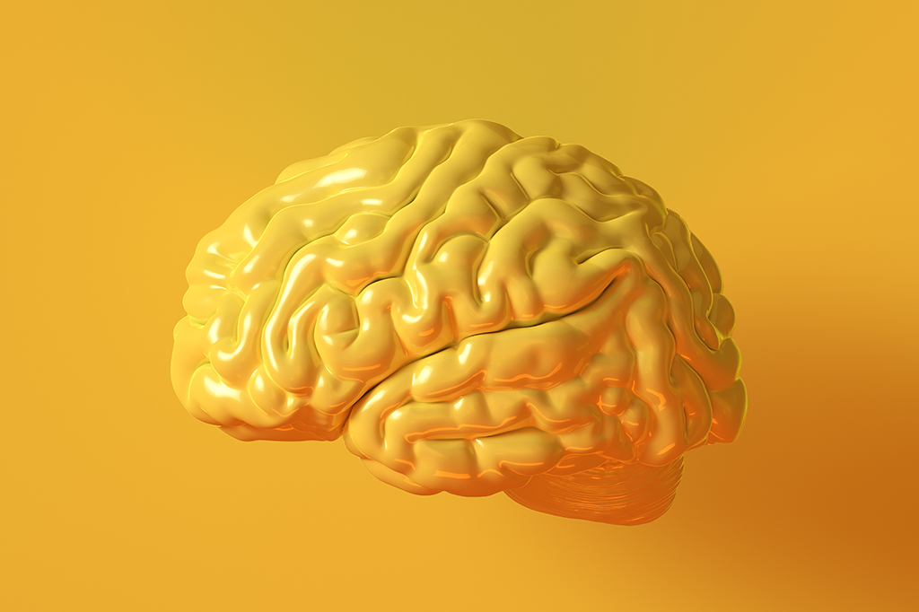 Cérebro de autistas é mais rápido em certas áreas, e mais lento em outras