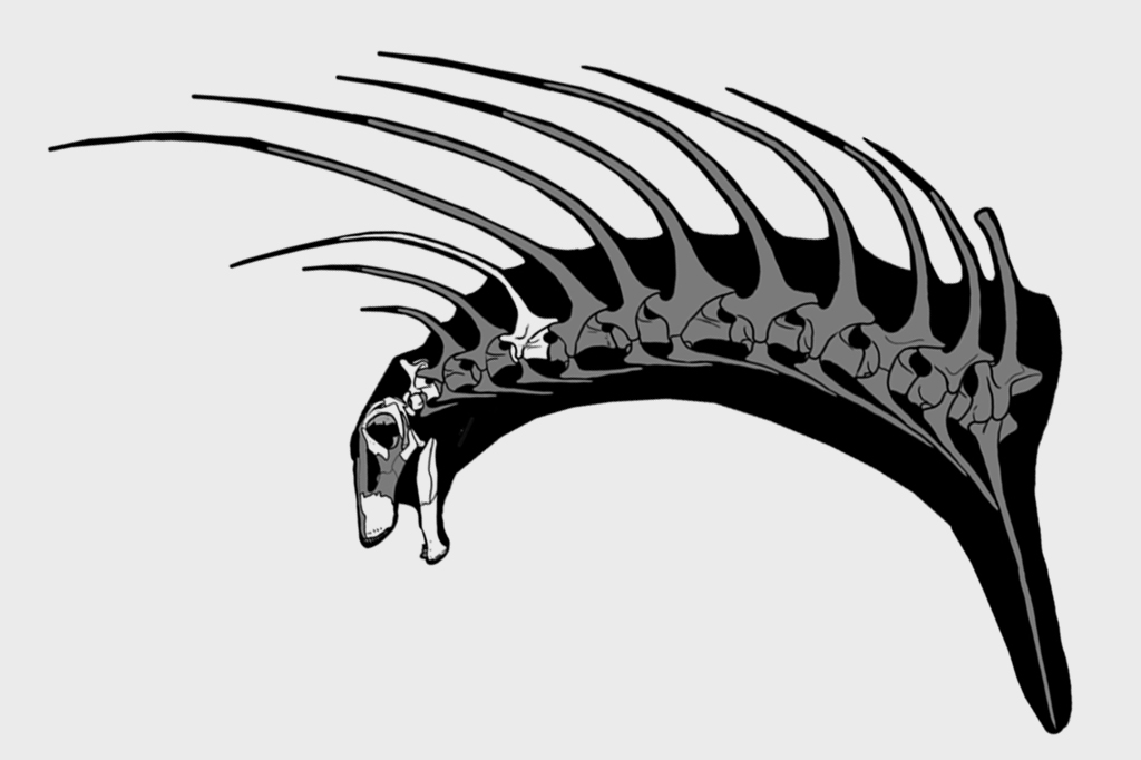 Descoberto na Patagônia dinossauro que tinha moicano