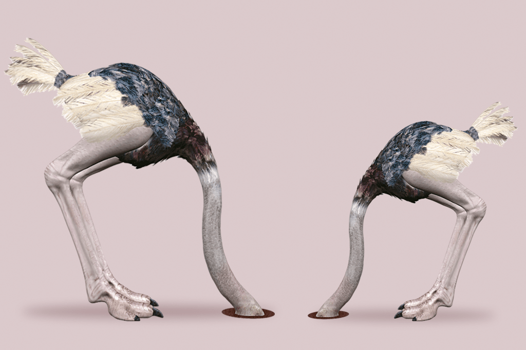 O avestruz enfia mesmo a cabeça na areia quando está com medo?