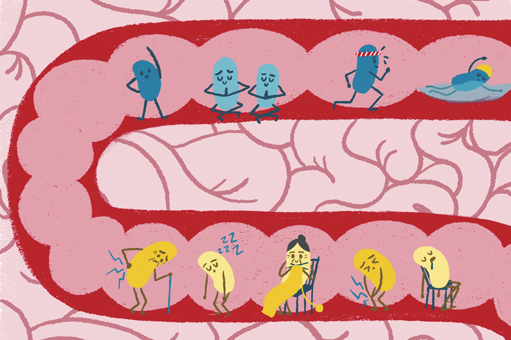 Quantos anos você tem (de acordo com seu intestino)?