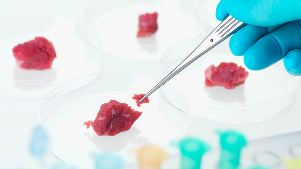 Carne produzida em laboratório não é panaceia contra mudanças climáticas