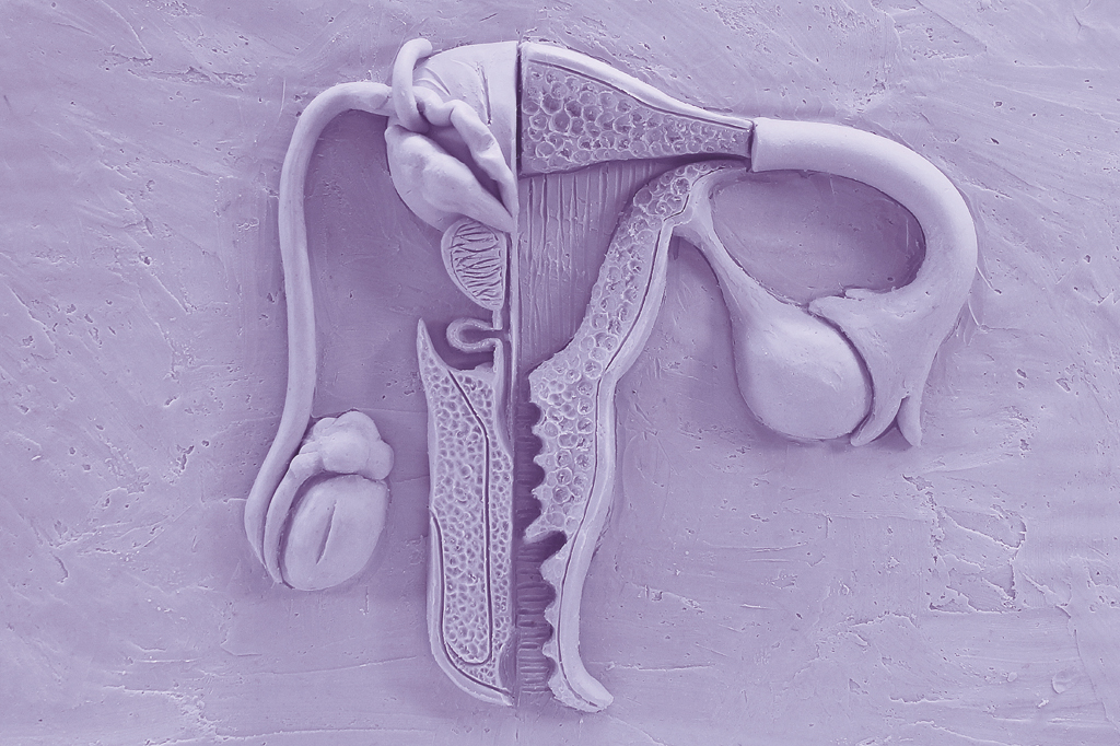 O lado B da guerra dos sexos