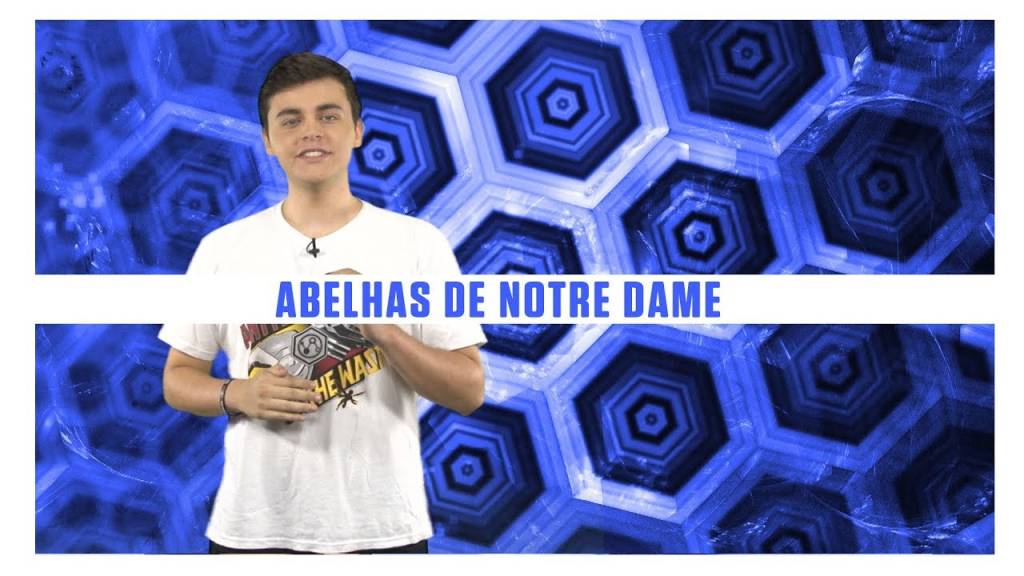 Abelhas que viviam em Notre Dame sobreviveram ao incêndio – SUPERNOVAS