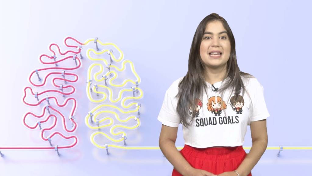 Cientistas chineses colocaram genes humanos em macacos