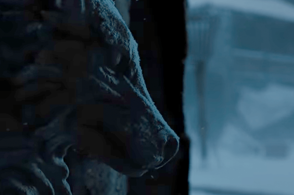 GoT lobo GoT lobo