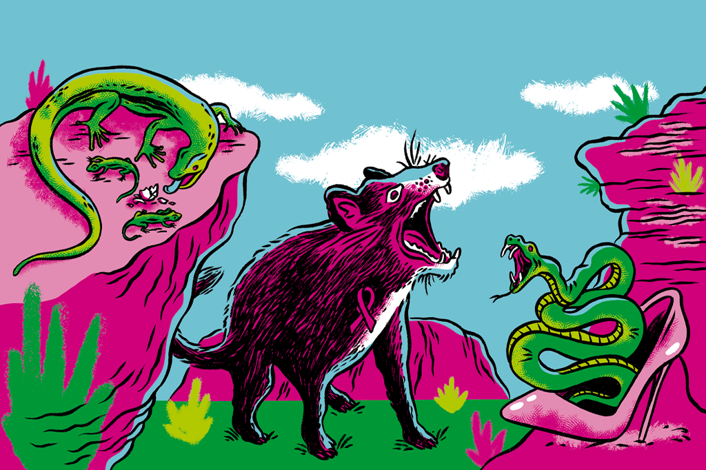 3 bichos australianos que estão entre os mais estranhos do mundo