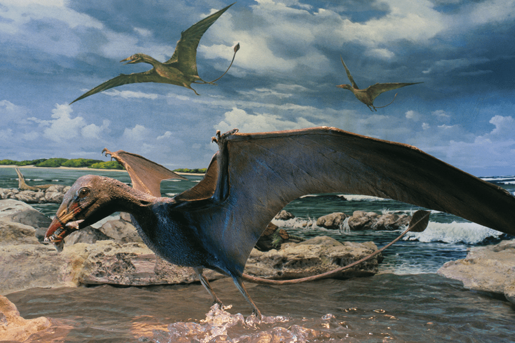 Pterossauros: 4 tipos de répteis voadores