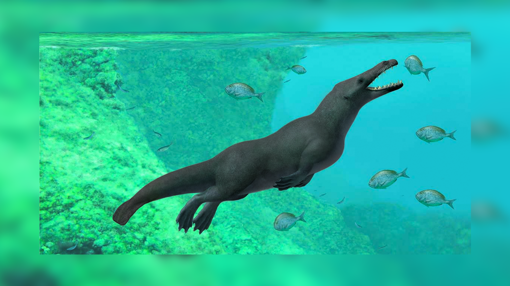 Baleia de quatro patas com cascos é descoberta no Peru