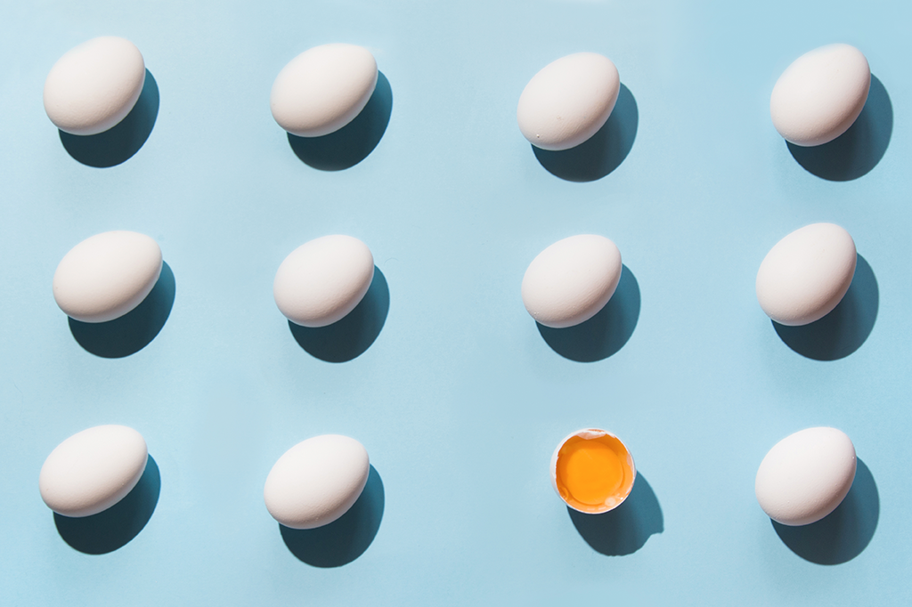 Ovo: como escolher? Como guardar? Como testar?