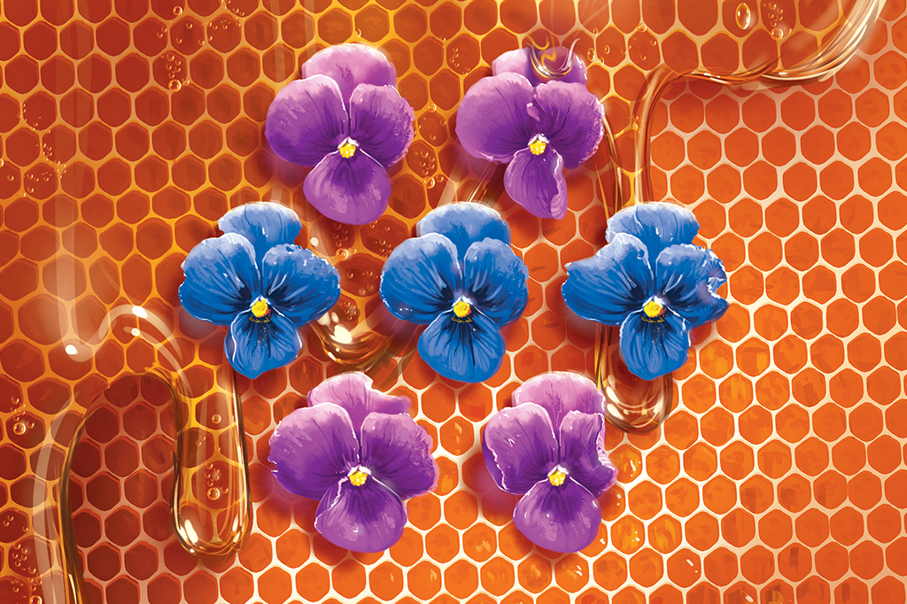 Abelhas e zangões frequentam flores diferentes