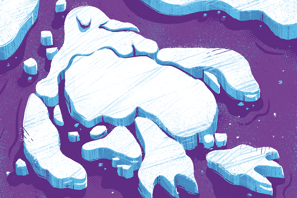 Colônia de pinguins perde quase todos os seus filhotes