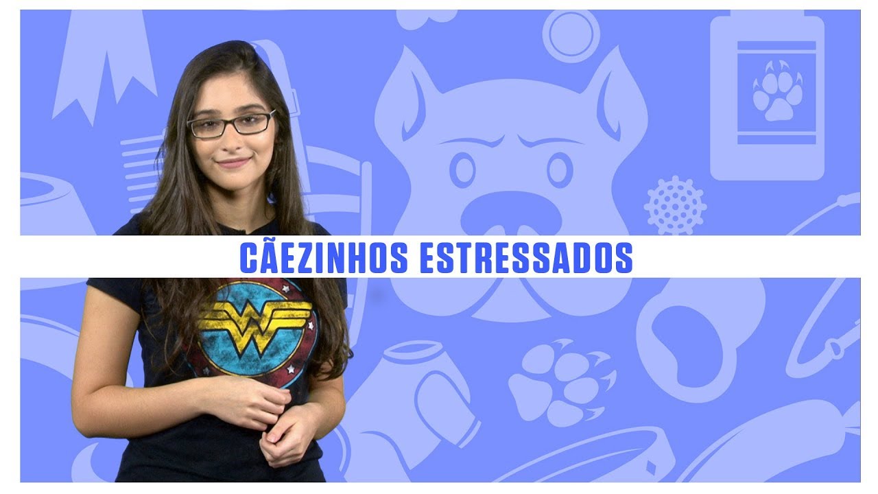 Cães têm o mesmo nível de cortisol (o hormônio do stress) que os donos