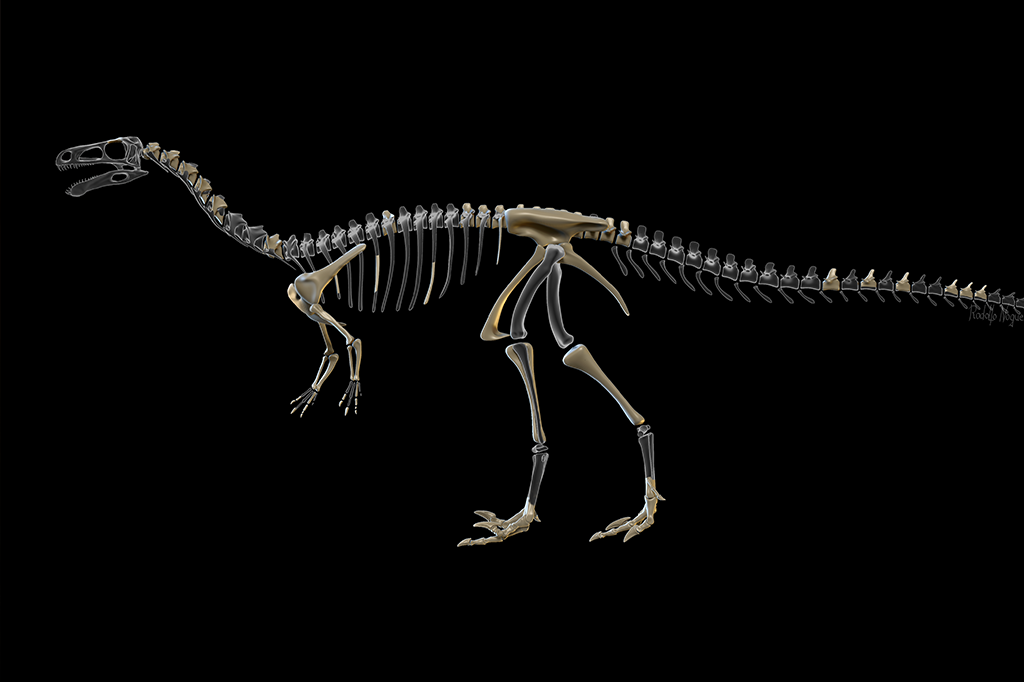 dino-paranaensis-4