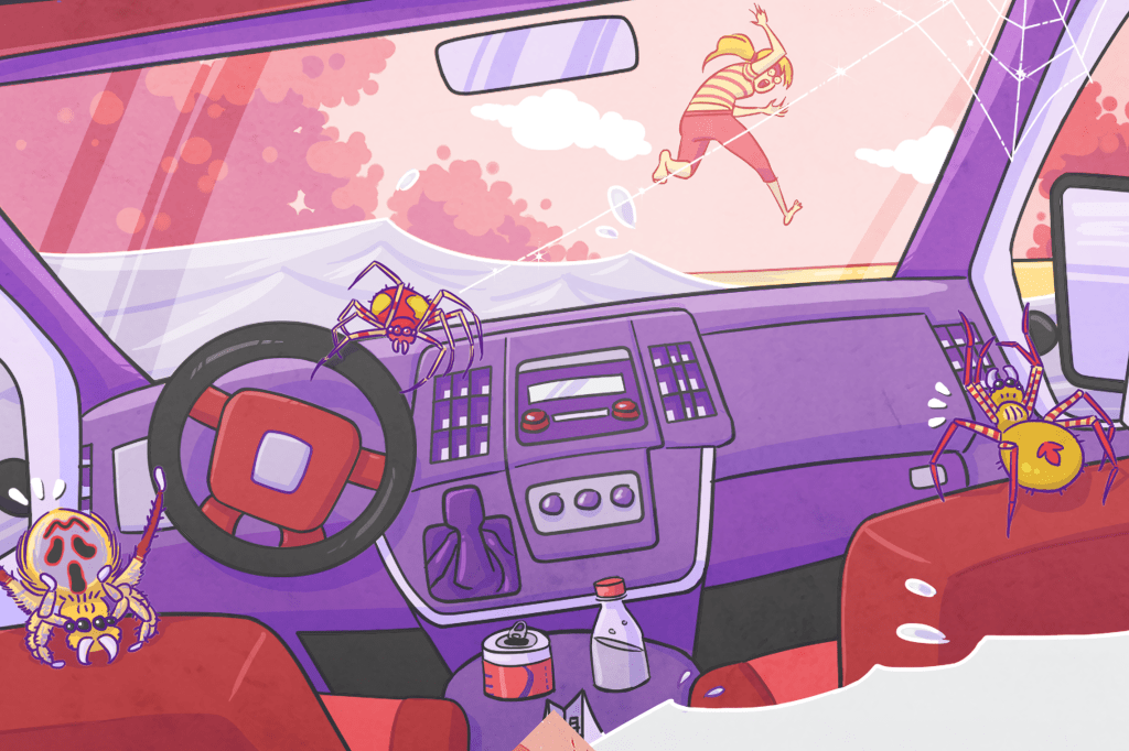 Cientistas descobrem aranha capaz de usar sua teia como estilingue