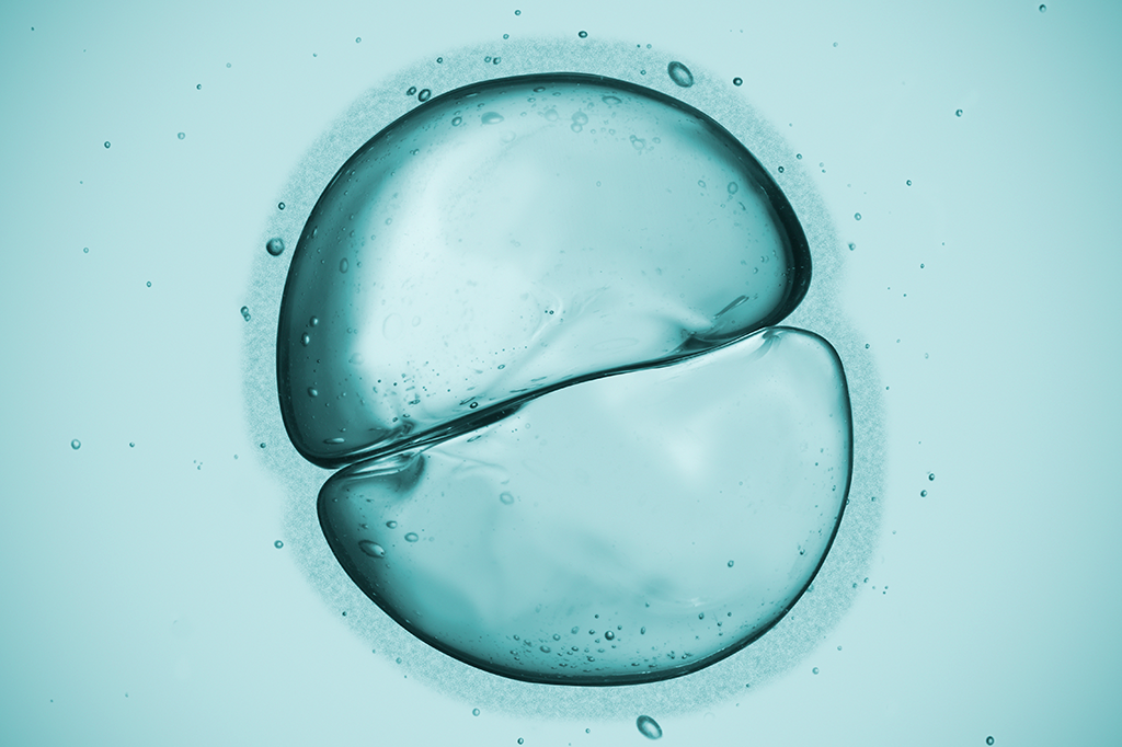 Japão aprova primeira experiência de hibridização entre humanos e animais