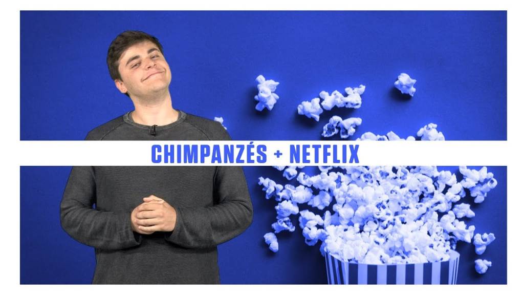 Chimpanzés interagem mais entre si quando assistem vídeos juntos – SUPERNOVAS