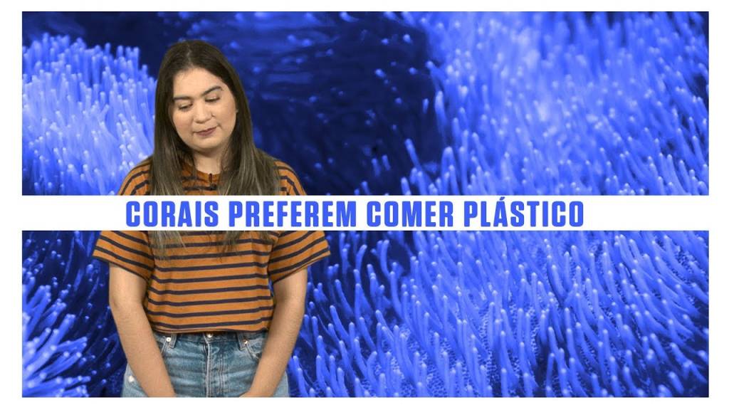 Corais preferem ingerir plástico do que comida habitual – SUPERNOVAS