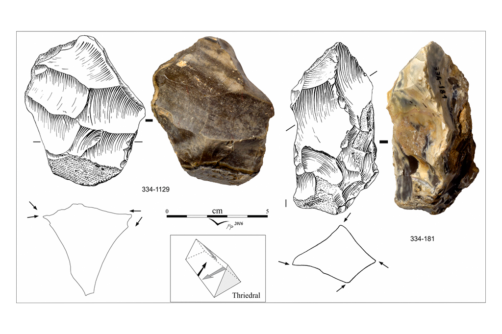 hominideos-africa-2