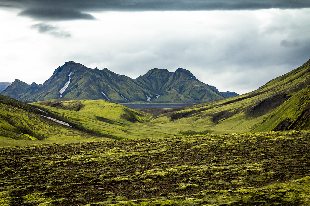 Vikings dizimaram as florestas da Islândia. Agora o país quer trazê-las de volta