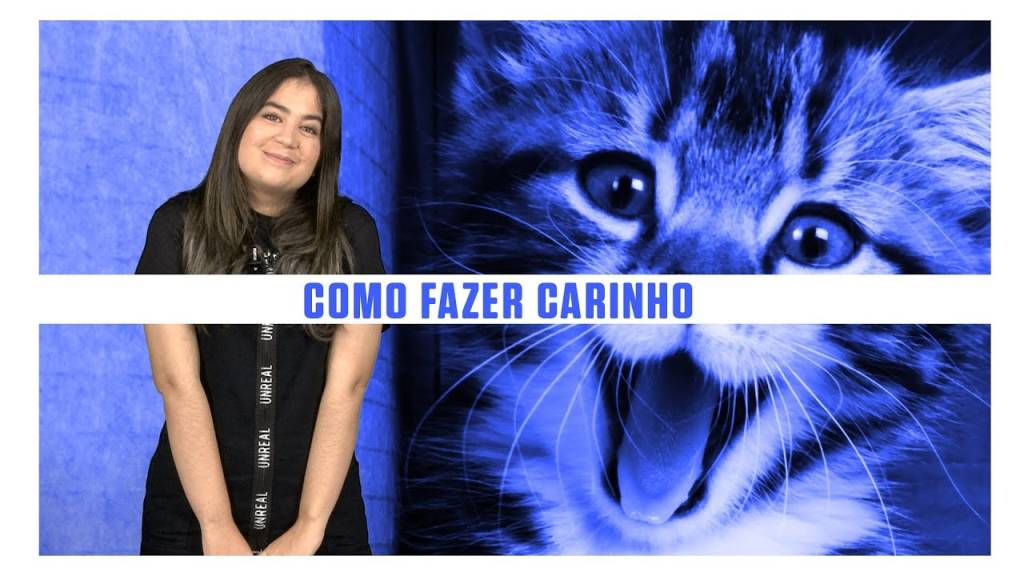 O melhor jeito de acariciar seu gato, segundo a ciência – SUPERNOVAS