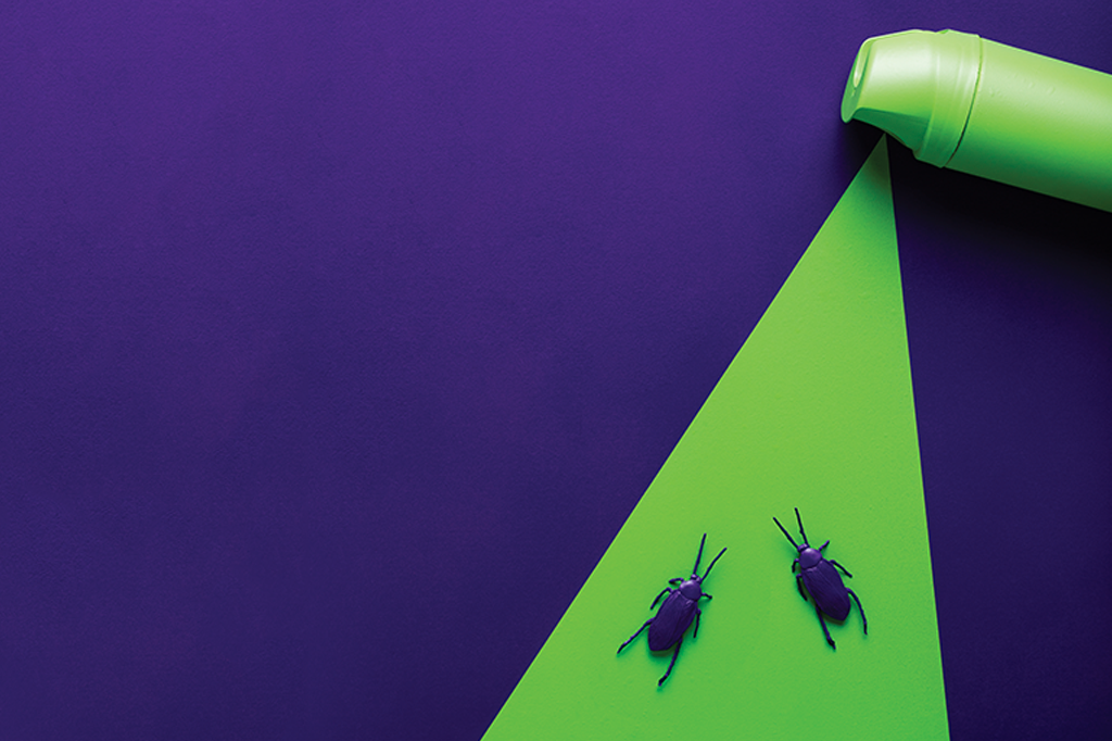 Baratas: as rainhas da evolução