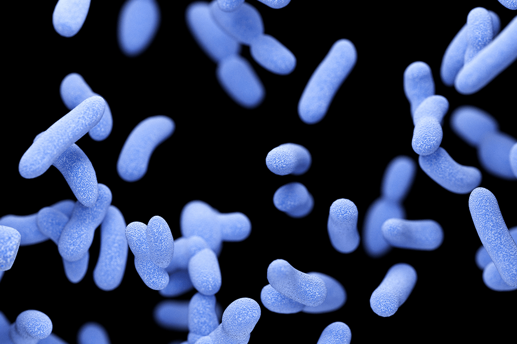 As bactérias ficam bêbadas?